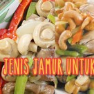 Mengenal Jenis Jamur untuk Memasak